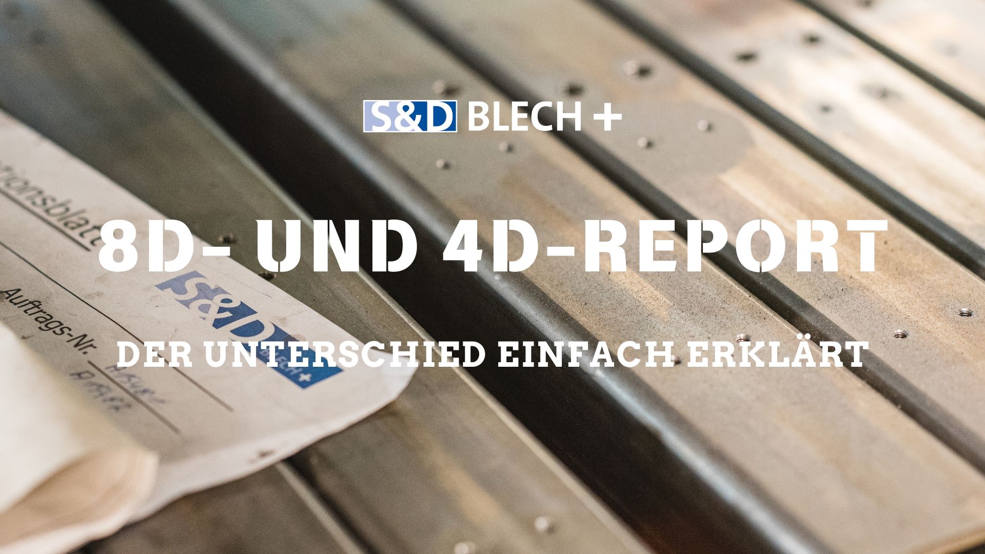8D- und 4D-Report